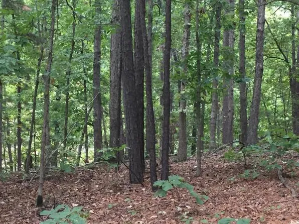 Lots 27 29 Private Rd #47, Eucha, OK 74342