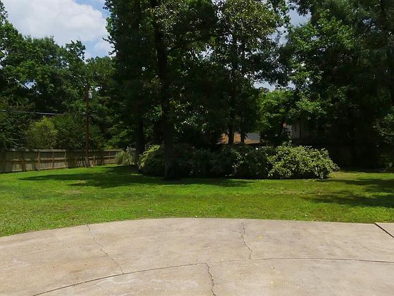 View of wooded side yard from driveway.