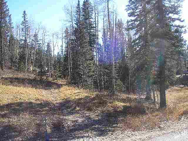 1st image of 83 Storm Peak Dr