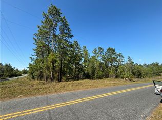 Tbd Sw Mango Ln, Dunnellon, FL 34431