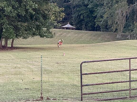 5th image of 40 Waters Ln