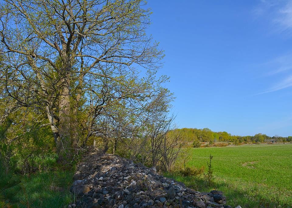 1st image of 10751 Sumac Ln