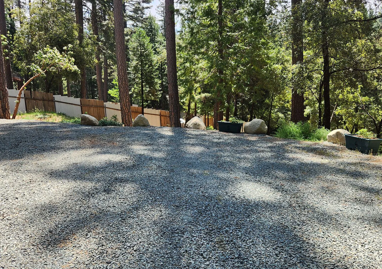 F12646 — Photo 3