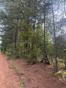 434 Hempstead 48, Columbus, AR, 71831