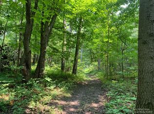 17000 Junction Rd, Addison, MI 49220