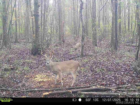 5th image of Millville Rd