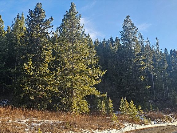 5th image of TRACT 11 Mountain Moose Rd