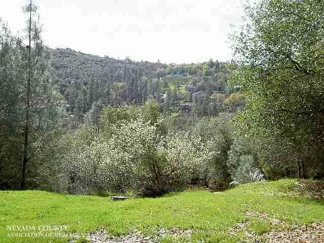 13726 Sun Forest Dr photo 1