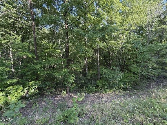 4th image of 20-21 22 Fox Hunters Ln