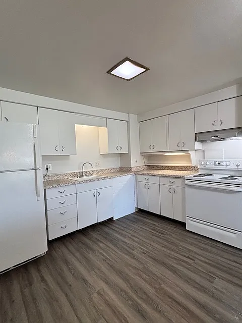 2 bed, 750 sqft, $1,100 — Photo 3