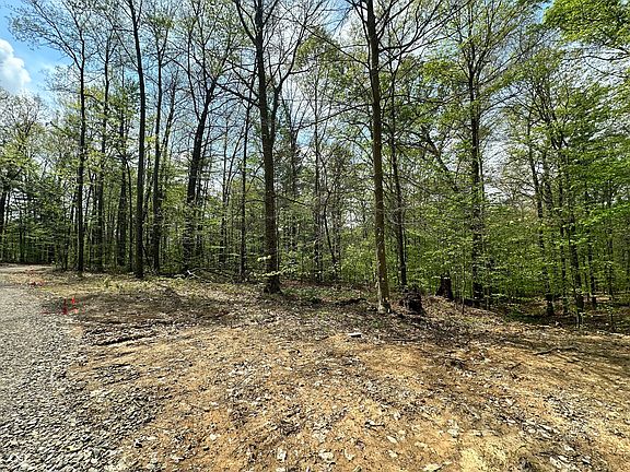 3rd image of 2029 S Austin Ct