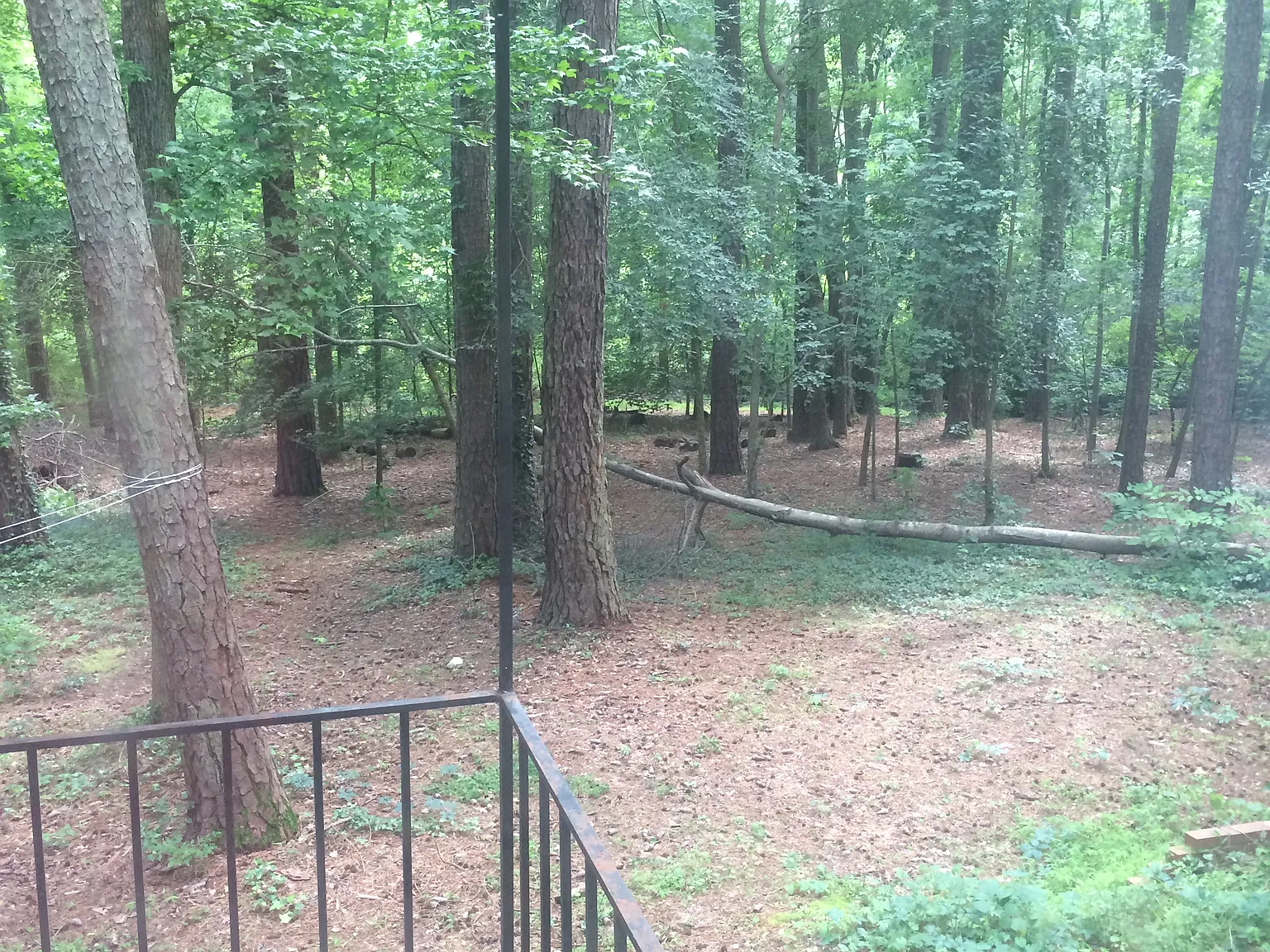 3 bed, 1.5 bath, 1884 sqft, $1,900 — Photo 2