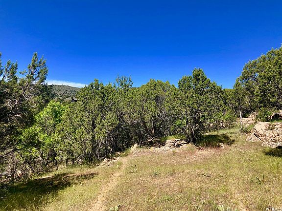 4th image of 310 Red Ledges Blvd Lot 124