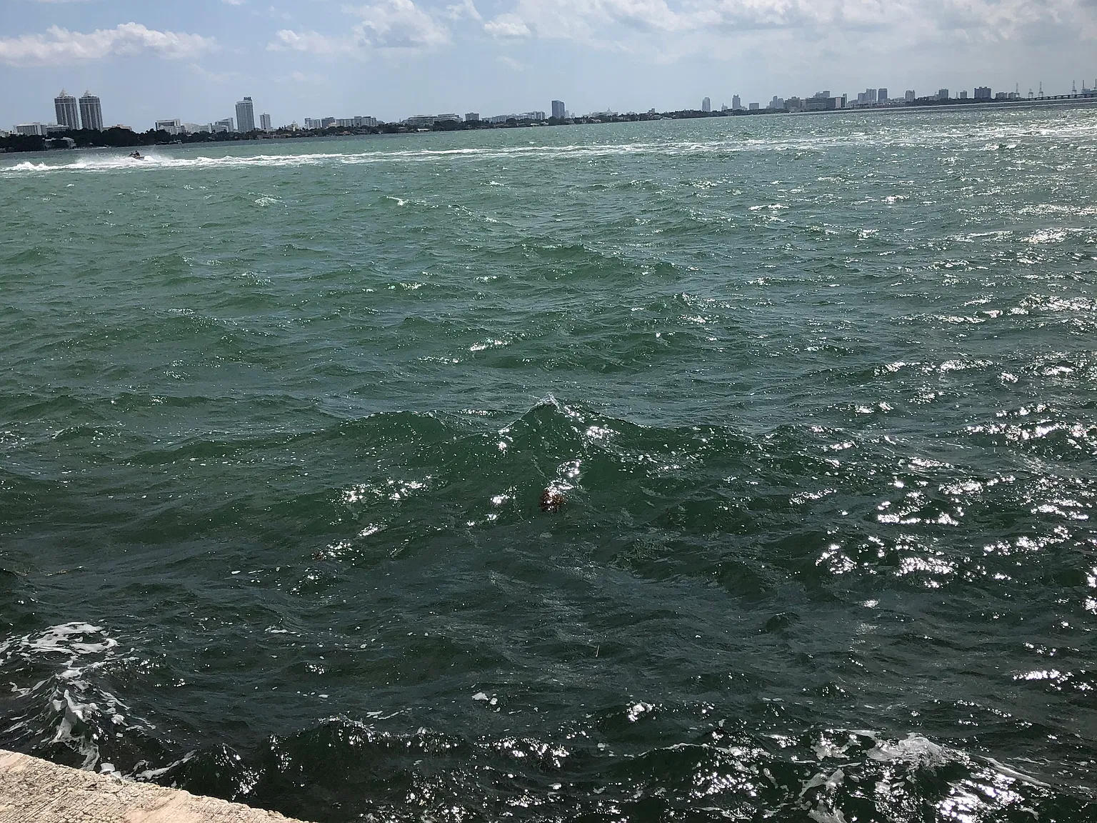 2 bed, 950 sqft, $2,000 — Photo 3