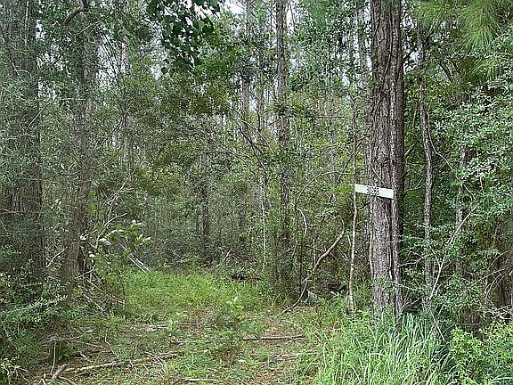 10 acres partially developed