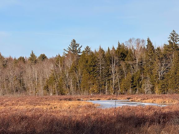 4th image of 370 Maple Road