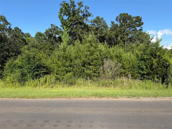 0 N Hendrix Ave, Diboll, TX 75941
