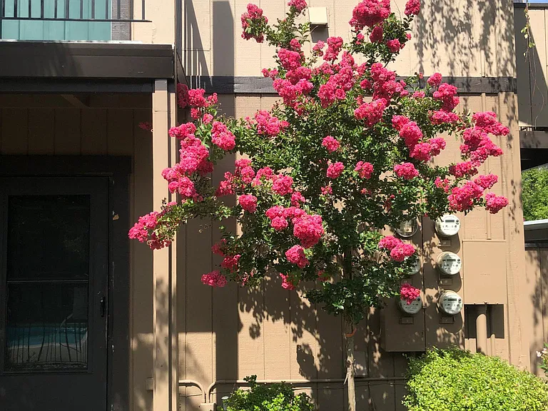 5920 Van Alstine Ave — Photo 13