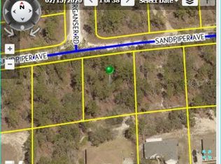 12050 Sandpiper Ave, Brooksville, FL 34614