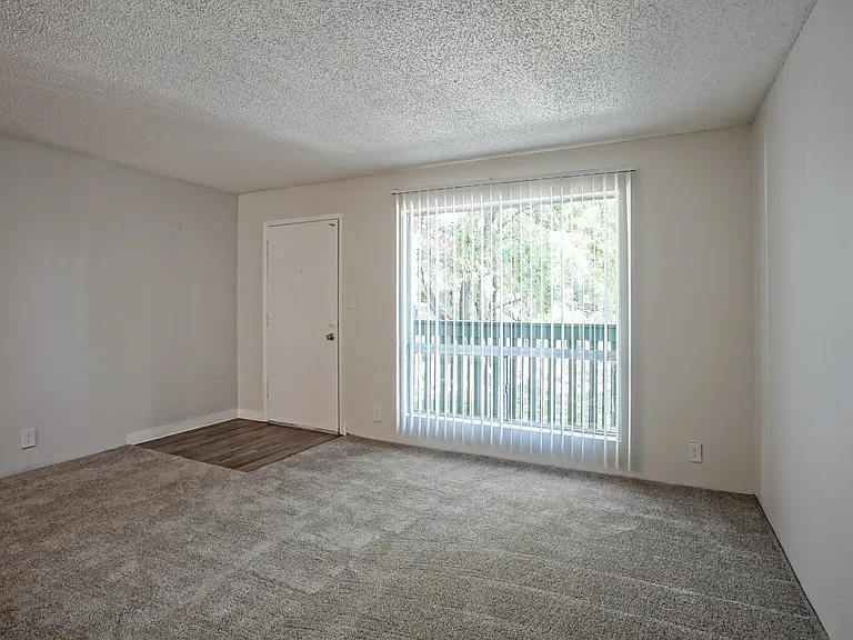 Oversized Windows - Front Entrance & Living Room - Gold Interior