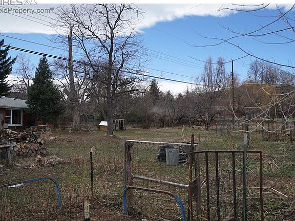 Back yard