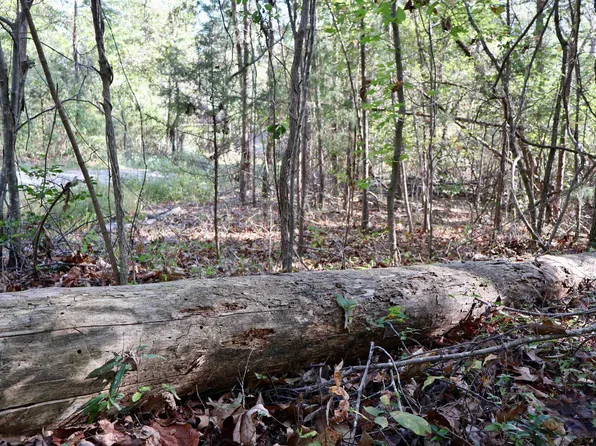 0 Woodhaven Dr #151, Pinson, AL 35126