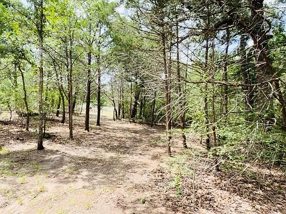 4th image of Shoreline Dr Lot 12