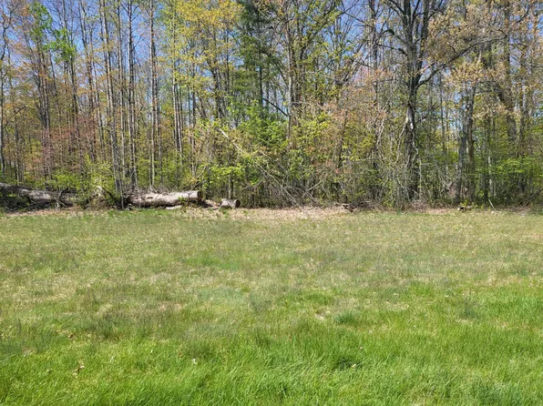 Fairway Dr, Roscommon, MI 48653