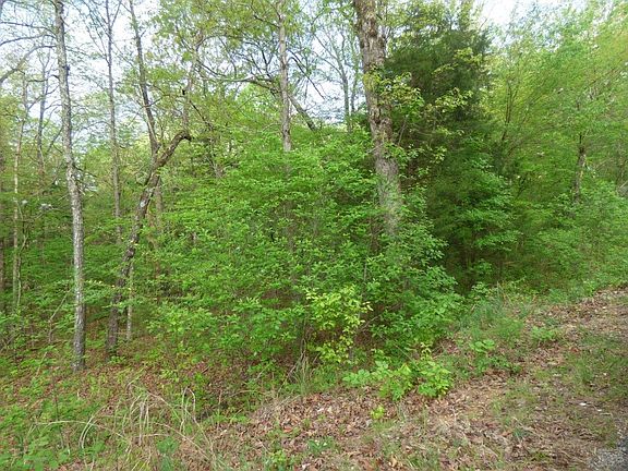 Cochise Road Lots 11 & 12 Block #13A, Cherokee Village, AR 72529 | MLS ...