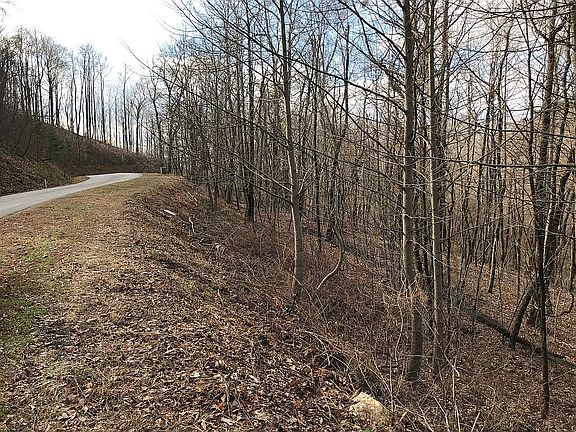 5th image of Georgian Highlands Lot 238