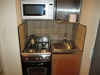 Rented by GPS Realty NYC