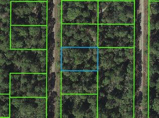 645 Scott St, Lake Placid, FL 33852