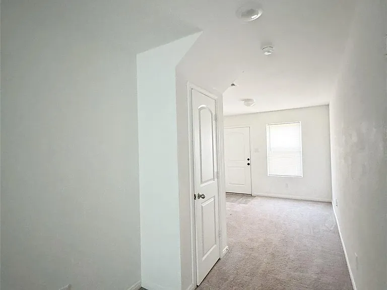 245 Water Oak — Photo 23