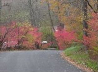 60 Grey Fox Trl, Woodbury, CT 06798