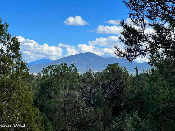 449 W Flushing Quail Rd #7, Williams, AZ 86046