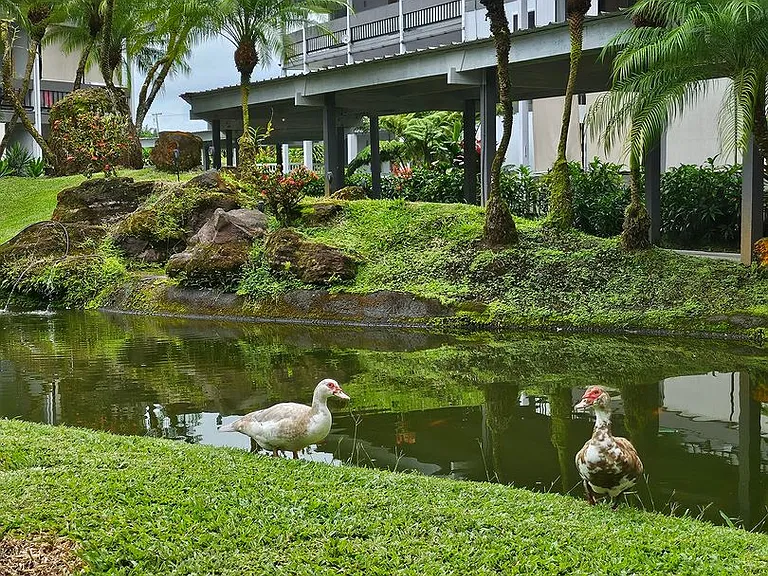 400 Hualani St #106 — Photo 5