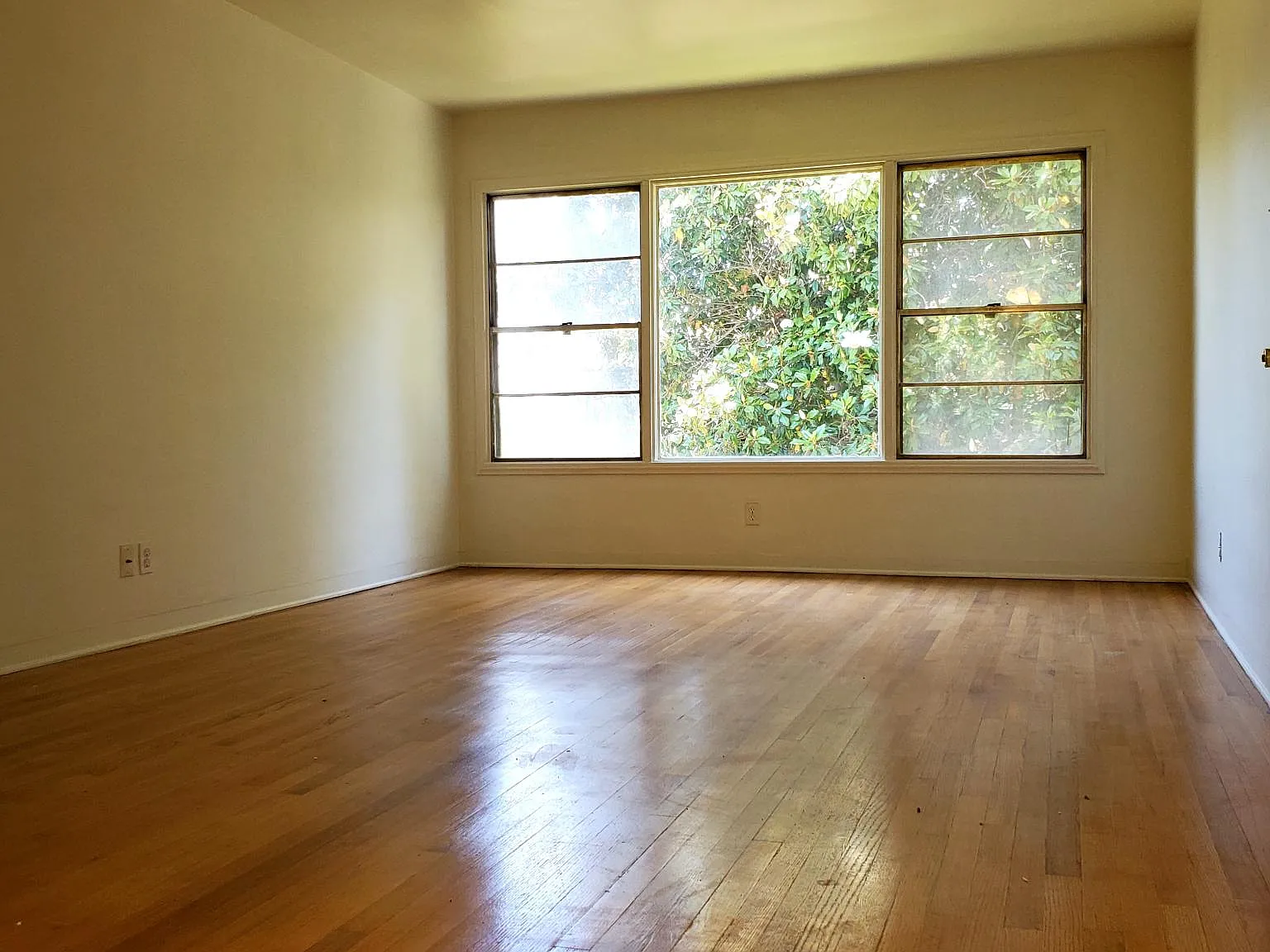2 bed, 850 sqft, $2,850 — Photo 4