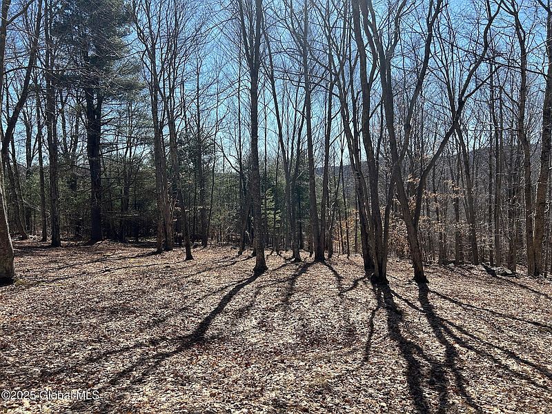 4th image of L22.2 Alder Pond Road