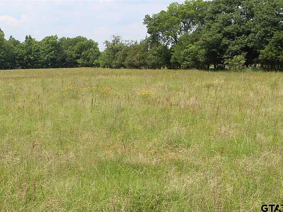 4th image of 0 County Road 1150 Tract 3