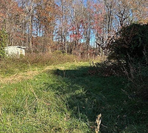 3rd image of 967 Jefferson Hwy
