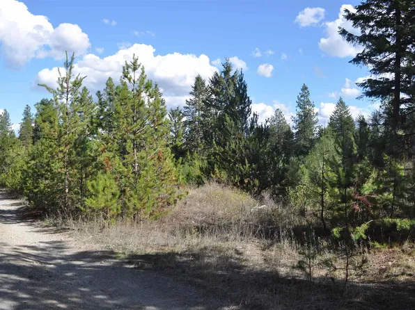 772 Diamond Dr, Newport, WA 99156