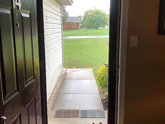 Storm glass front door
