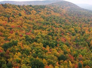 0 Helixville Rd, Schellsburg, PA 15559