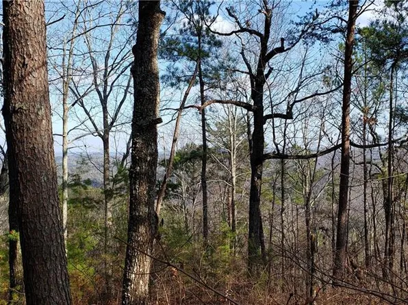 393 Jester Ct, Ranger, GA 30734