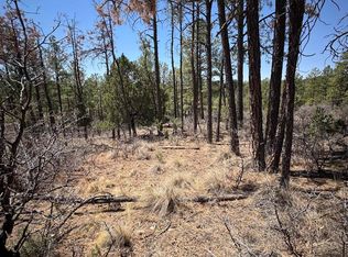 27 Hayssinia St, Timberon, NM 88350