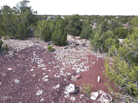 4th image of 20203017 Griffin Rd