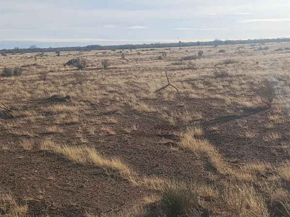Blazing Trl SE, Deming, NM 88030