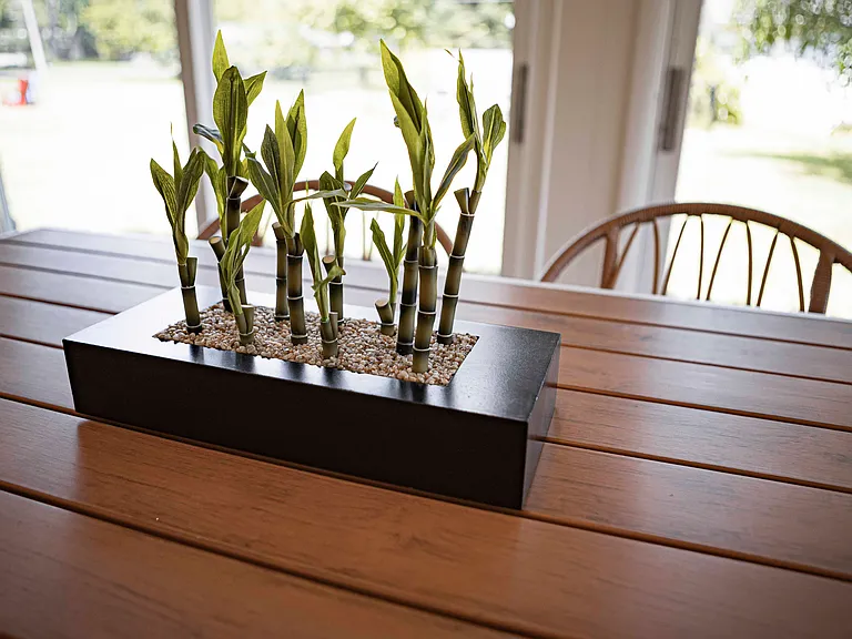 Dogwood Ln — Photo 14
