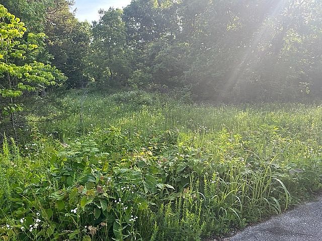 1st image of Highlandsprings Ln