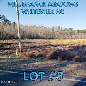1796 Harrelsonville Road, Whiteville, NC, 28472